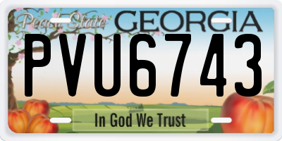 GA license plate PVU6743