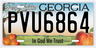 GA license plate PVU6864