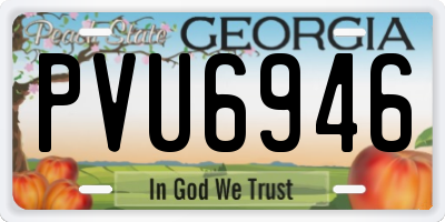 GA license plate PVU6946