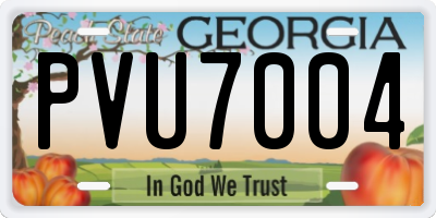 GA license plate PVU7004