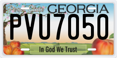 GA license plate PVU7050