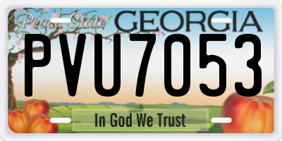 GA license plate PVU7053