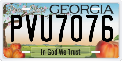 GA license plate PVU7076