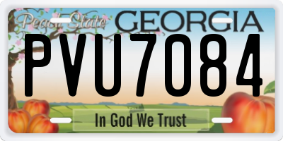GA license plate PVU7084