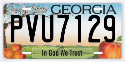 GA license plate PVU7129