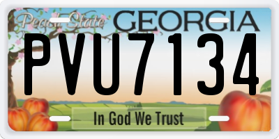 GA license plate PVU7134