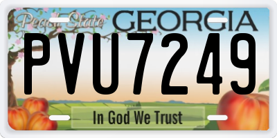 GA license plate PVU7249