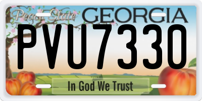 GA license plate PVU7330