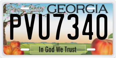 GA license plate PVU7340