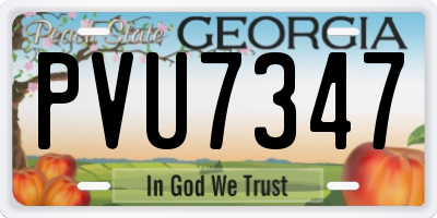 GA license plate PVU7347