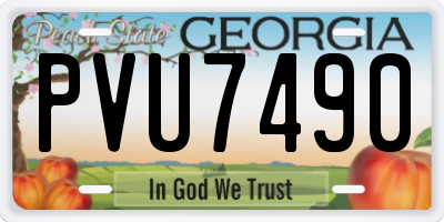 GA license plate PVU7490