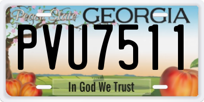 GA license plate PVU7511