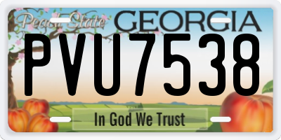 GA license plate PVU7538