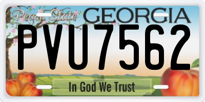 GA license plate PVU7562