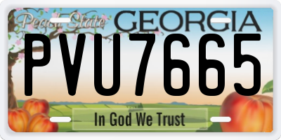 GA license plate PVU7665