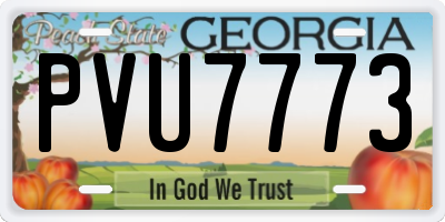 GA license plate PVU7773