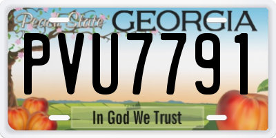 GA license plate PVU7791