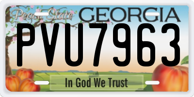 GA license plate PVU7963