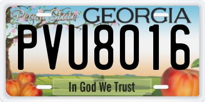 GA license plate PVU8016