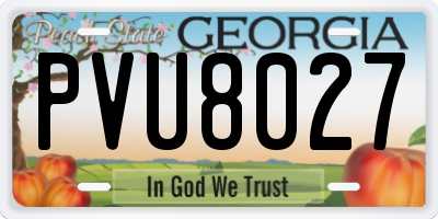 GA license plate PVU8027