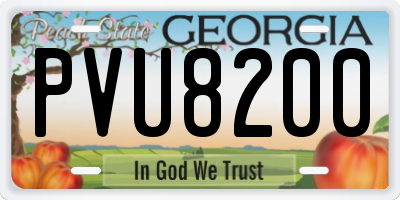 GA license plate PVU8200