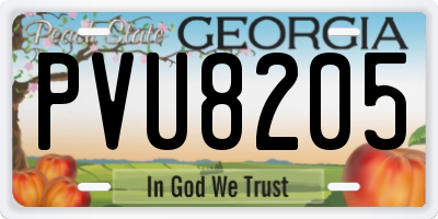 GA license plate PVU8205