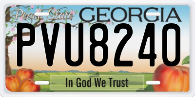 GA license plate PVU8240