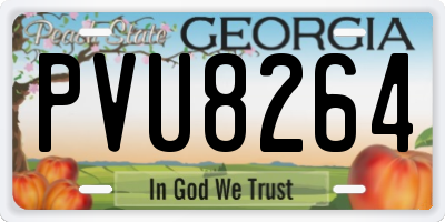 GA license plate PVU8264