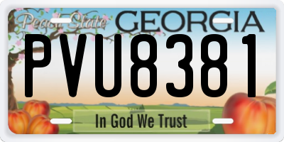 GA license plate PVU8381