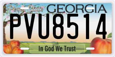 GA license plate PVU8514