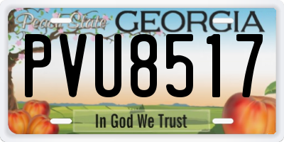 GA license plate PVU8517