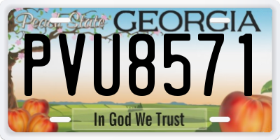 GA license plate PVU8571