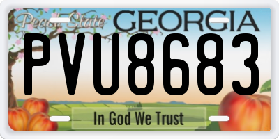 GA license plate PVU8683