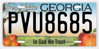 GA license plate PVU8685