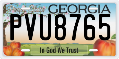 GA license plate PVU8765