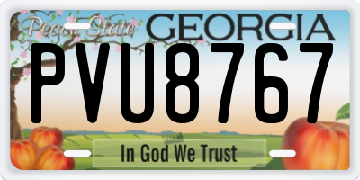 GA license plate PVU8767