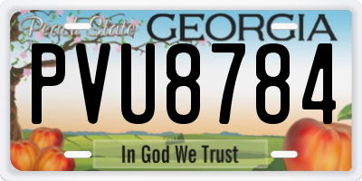GA license plate PVU8784