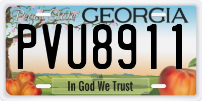 GA license plate PVU8911