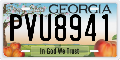 GA license plate PVU8941