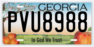GA license plate PVU8988