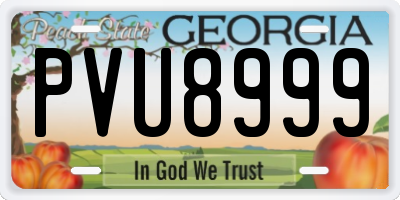 GA license plate PVU8999