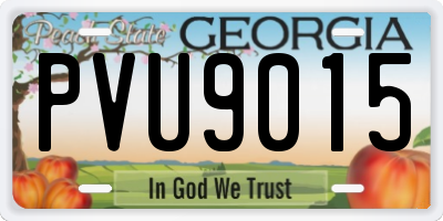 GA license plate PVU9015