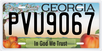 GA license plate PVU9067