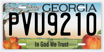 GA license plate PVU9210