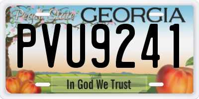 GA license plate PVU9241
