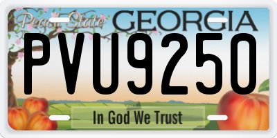 GA license plate PVU9250