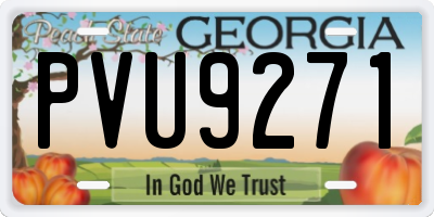 GA license plate PVU9271