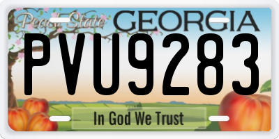 GA license plate PVU9283