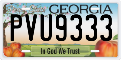 GA license plate PVU9333