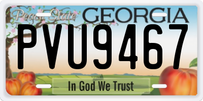 GA license plate PVU9467